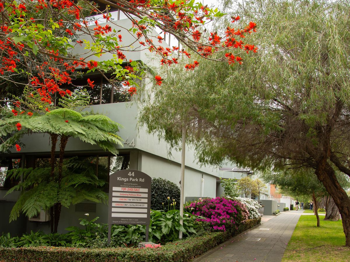 The entrance path at 44 Kings Park Road, West Perth, with the building sign and a flame tree in flower